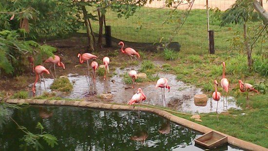 El Parque Hundido